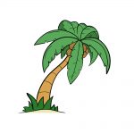 how to draw palm tree image