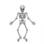 skeleton drawing image