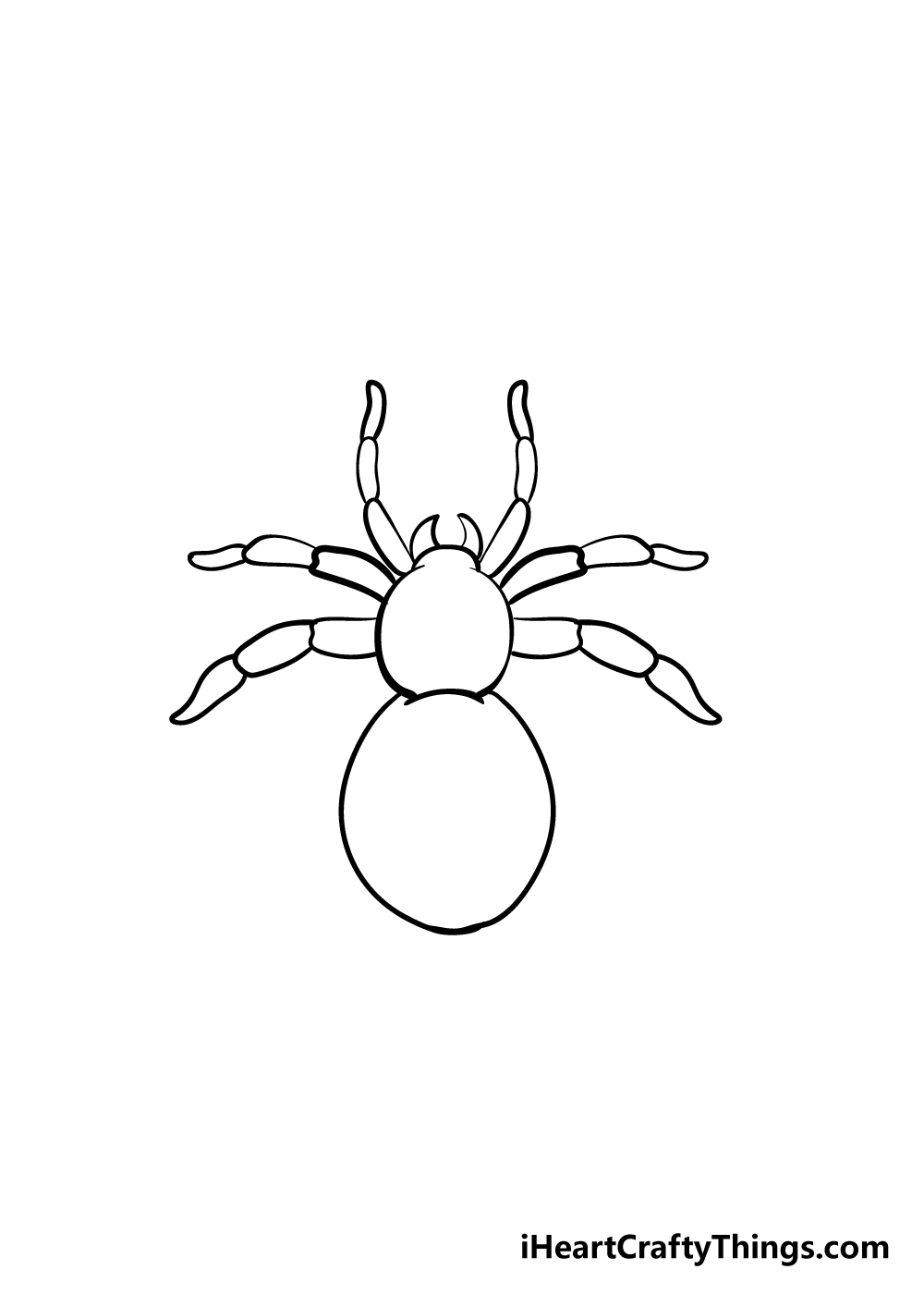 spider drawing step 5