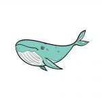 how to draw a whale image