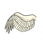 how to draw a wing image
