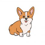 corgi drawing image