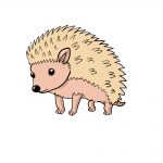 how to draw hedgehog image