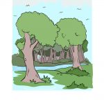 how to draw forest image