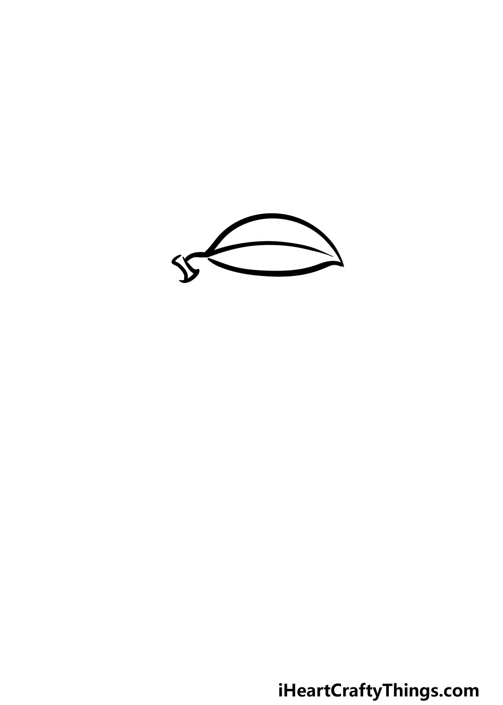 drawing oranges step 1
