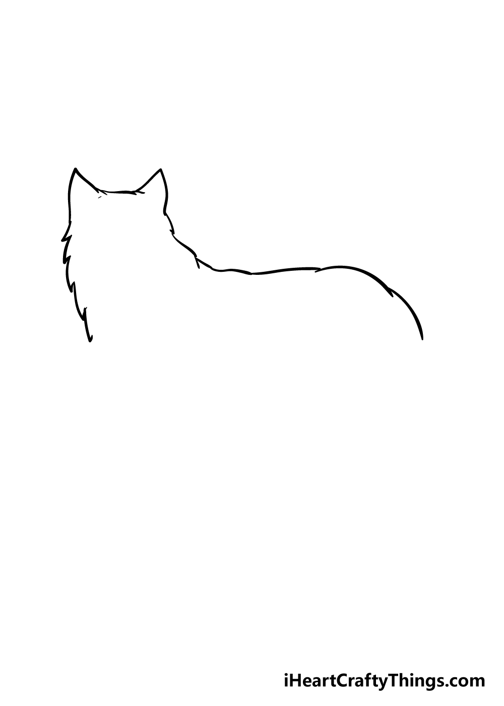 arctic fox drawing step 1