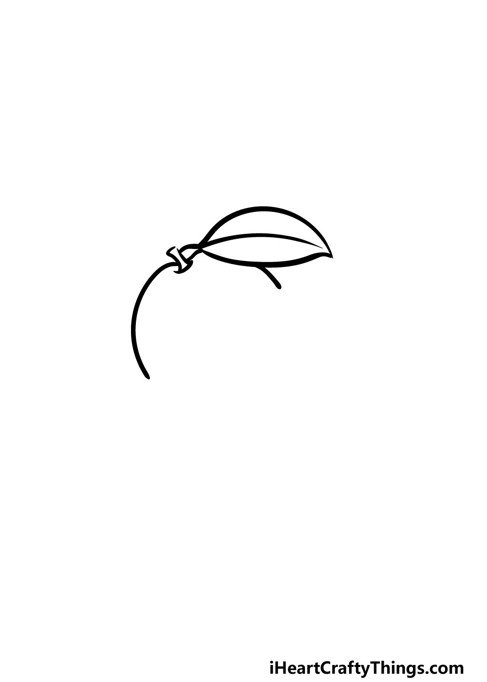 drawing oranges step 2