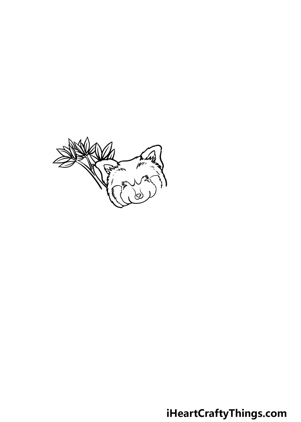 drawing a Red Panda step 2