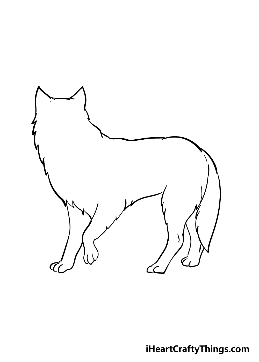 arctic fox drawing step 3