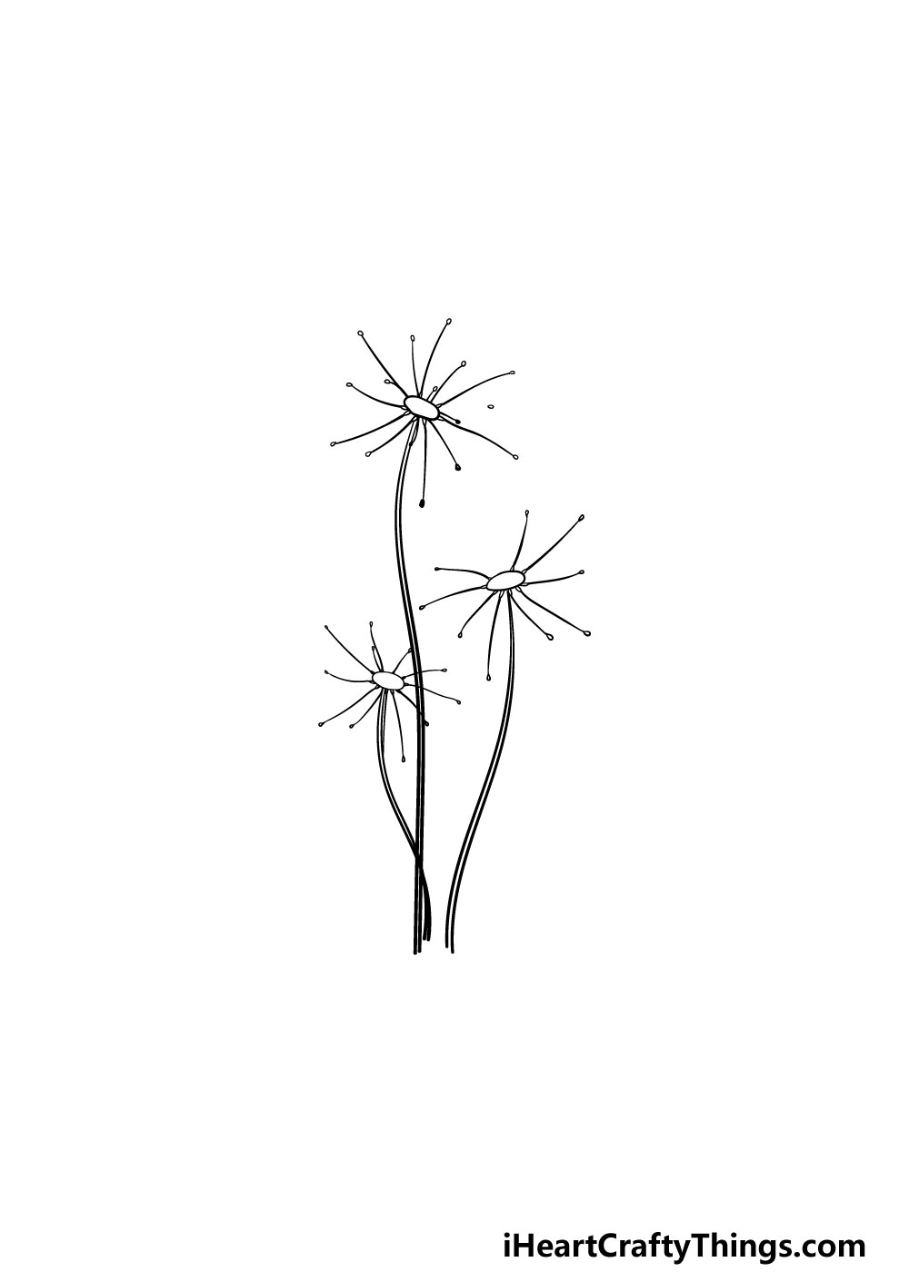 drawing a dandelion step 3