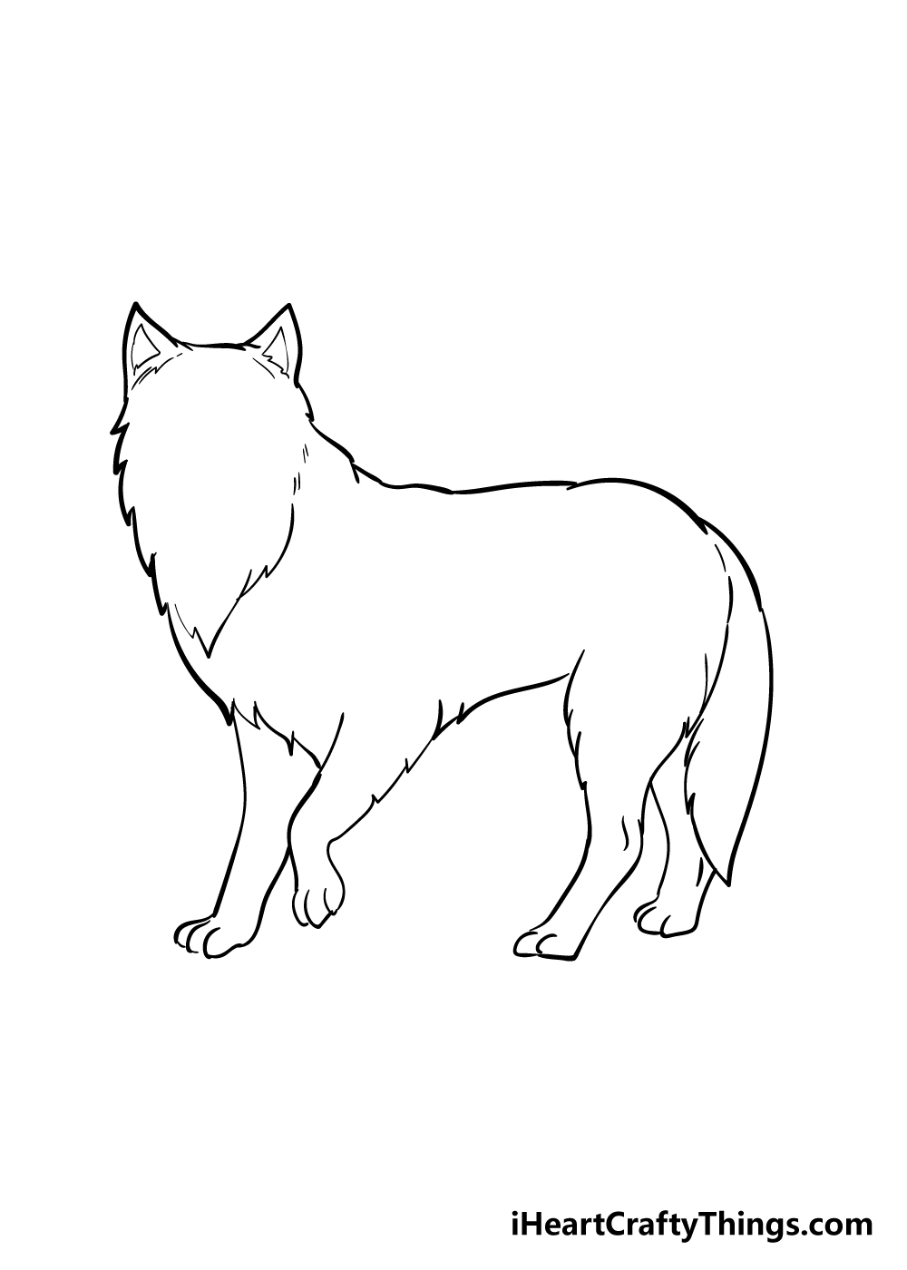 arctic fox drawing step 4