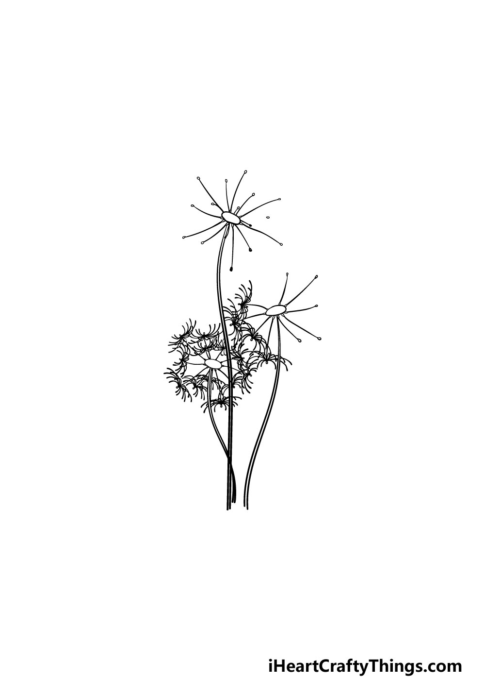 drawing a dandelion step 4