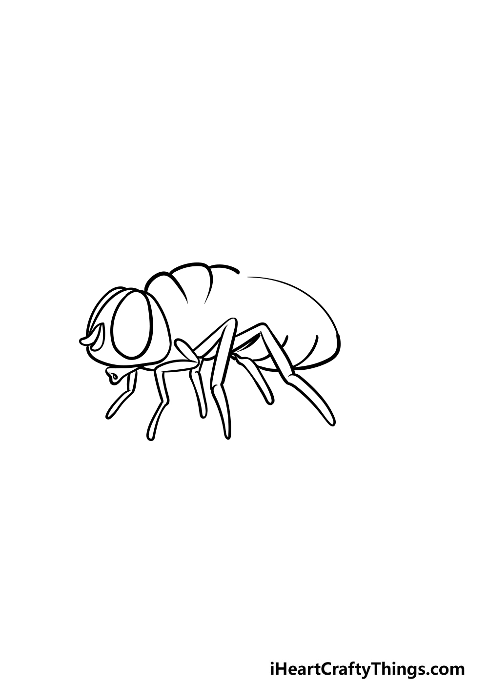 drawing a fly step 4
