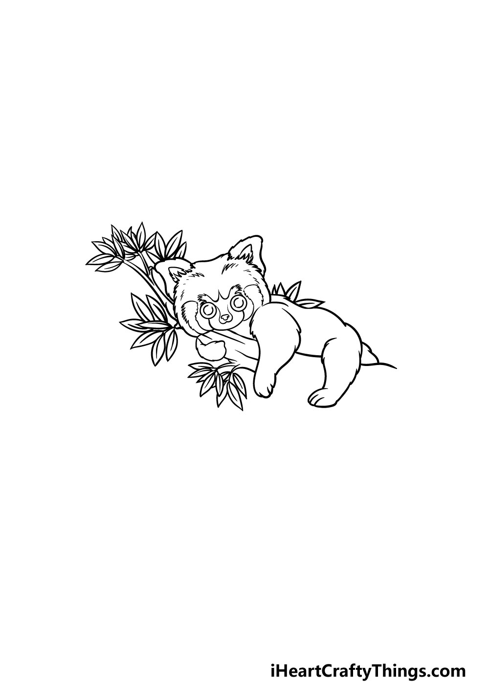 drawing a Red Panda step 4