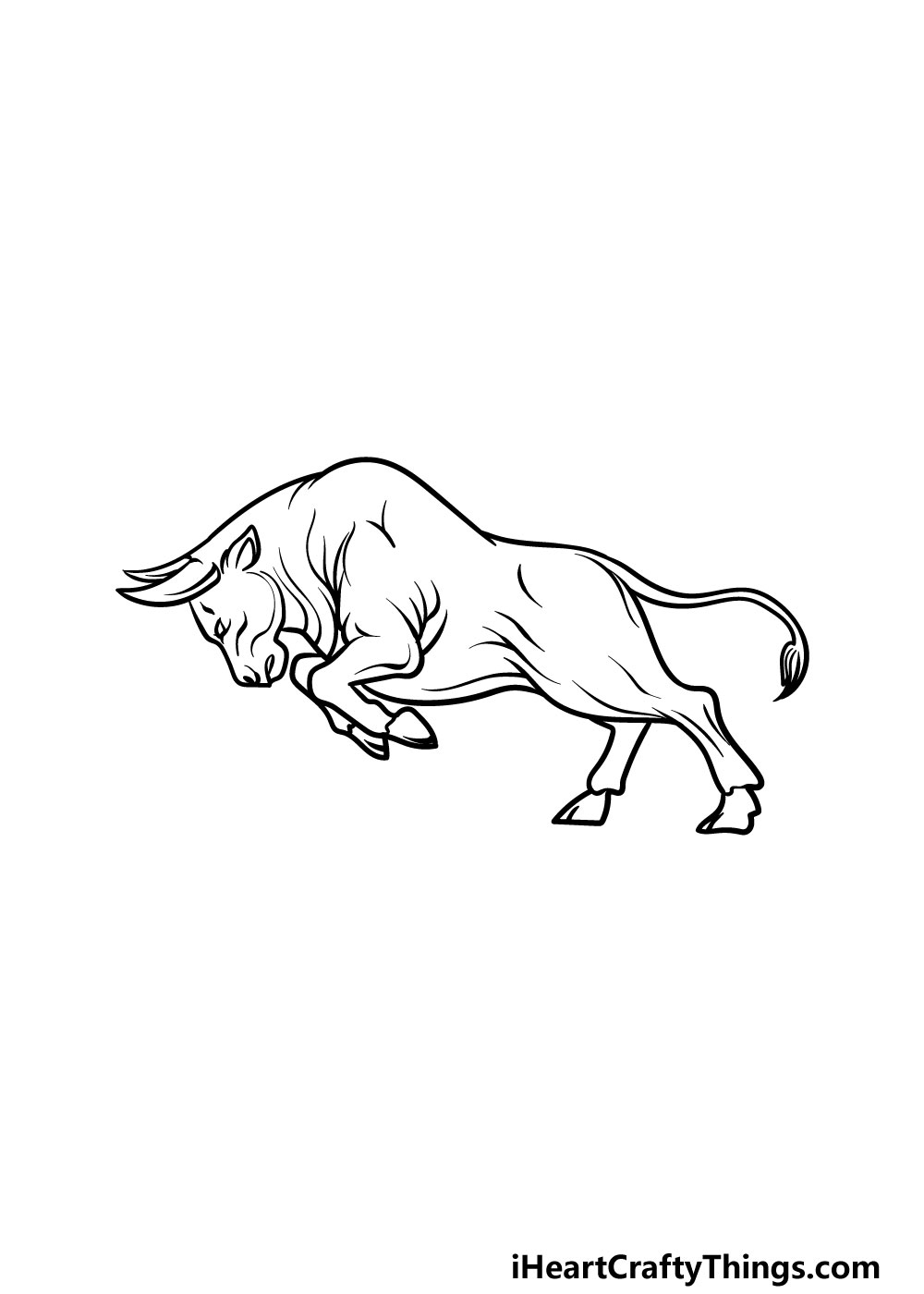 drawing a bull step 5