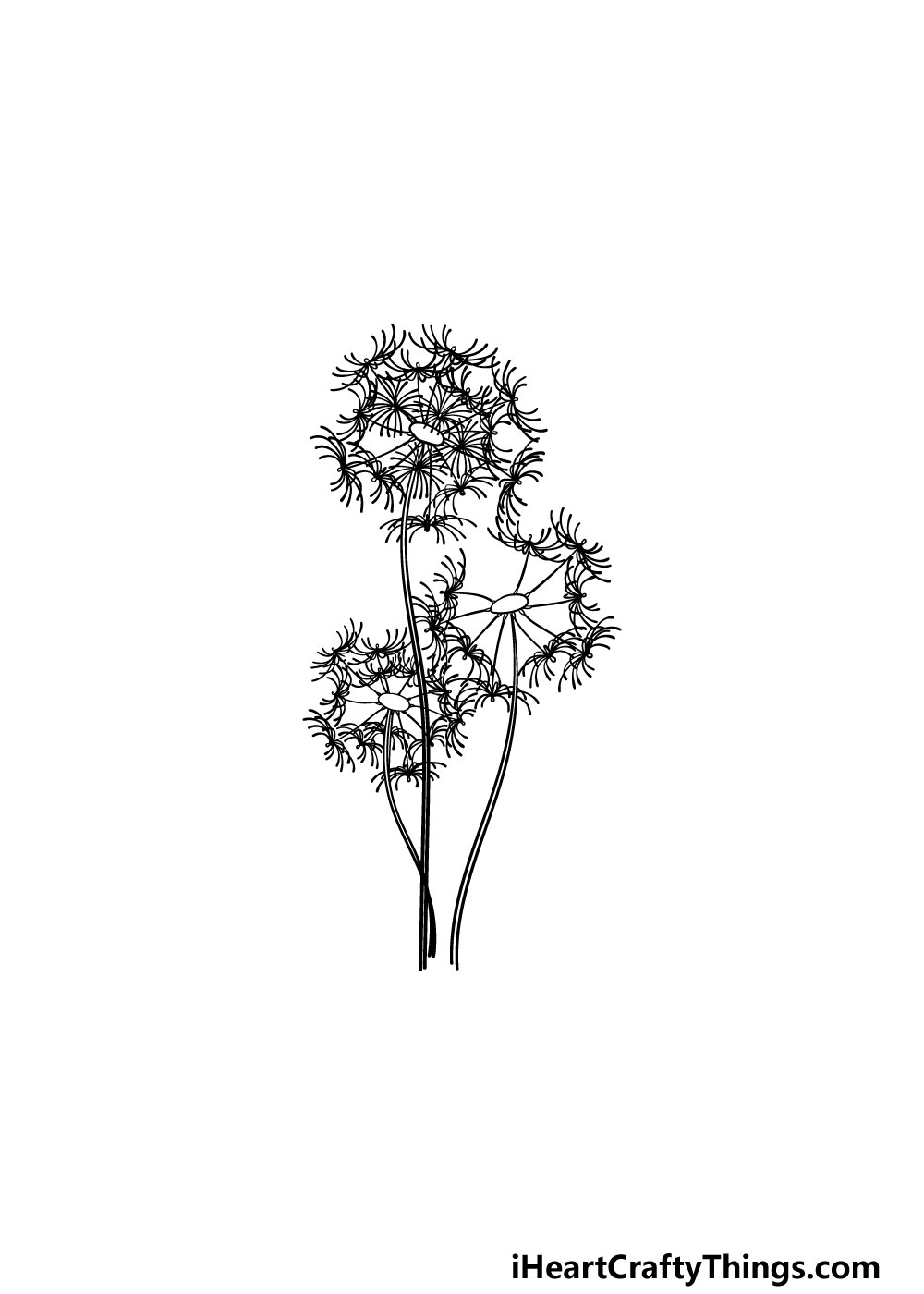 drawing a dandelion step 5