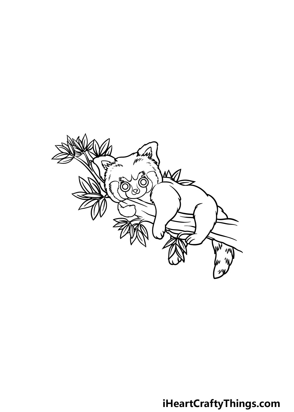 drawing a Red Panda step 5