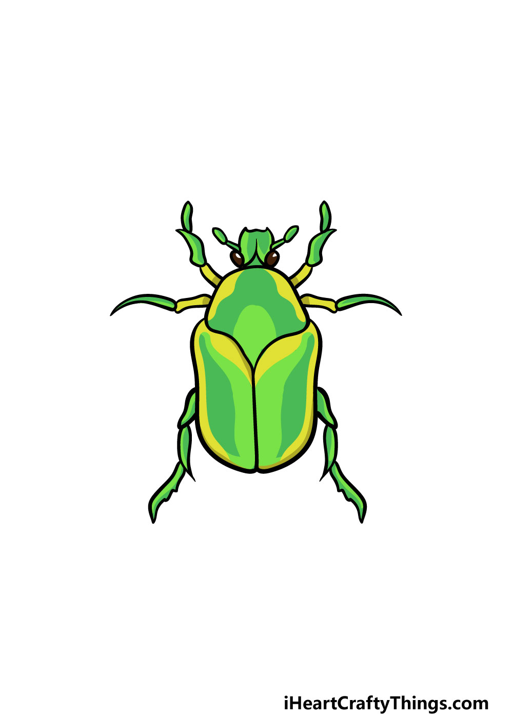 drawing a bug step 6