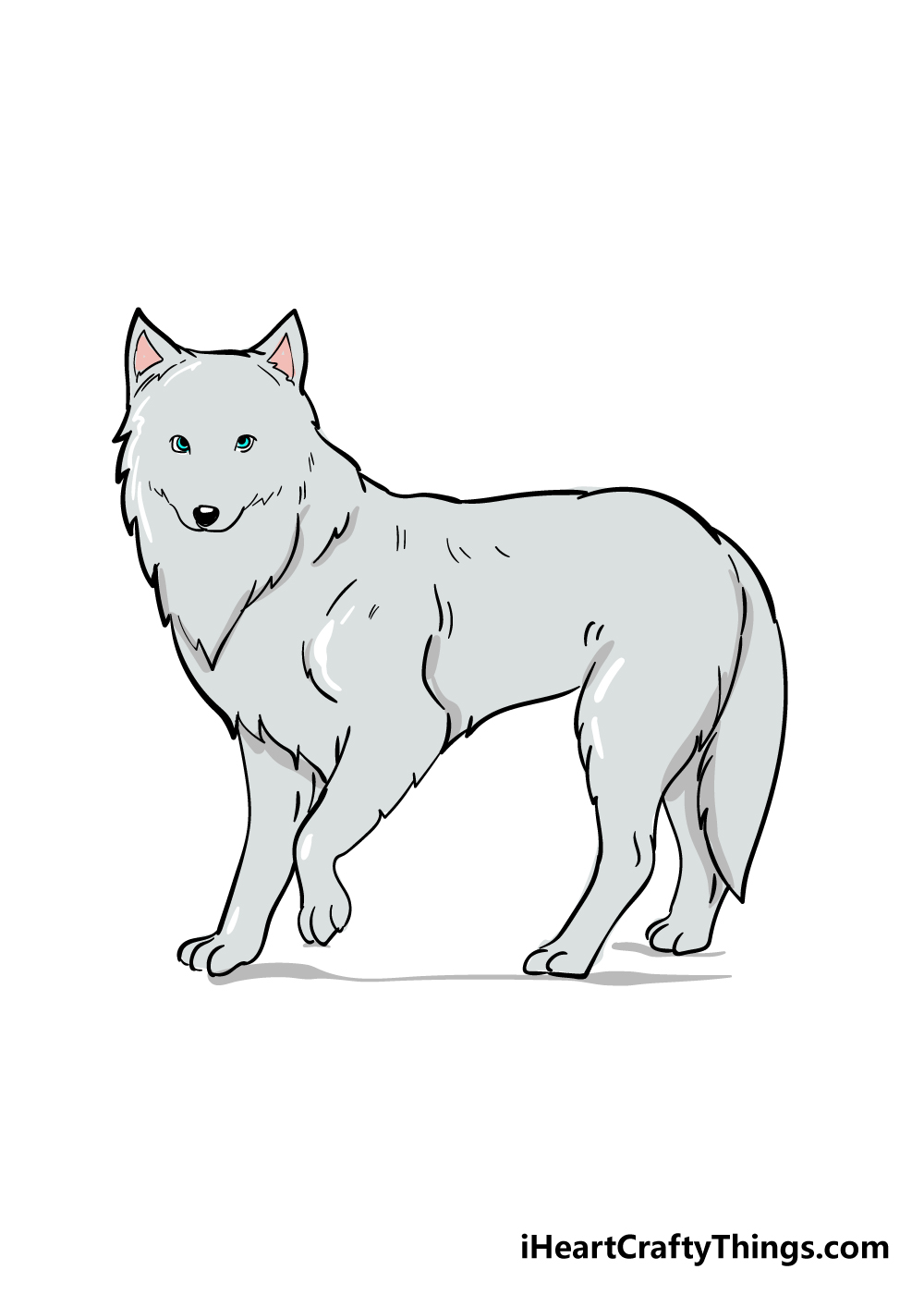 arctic fox drawing step 6