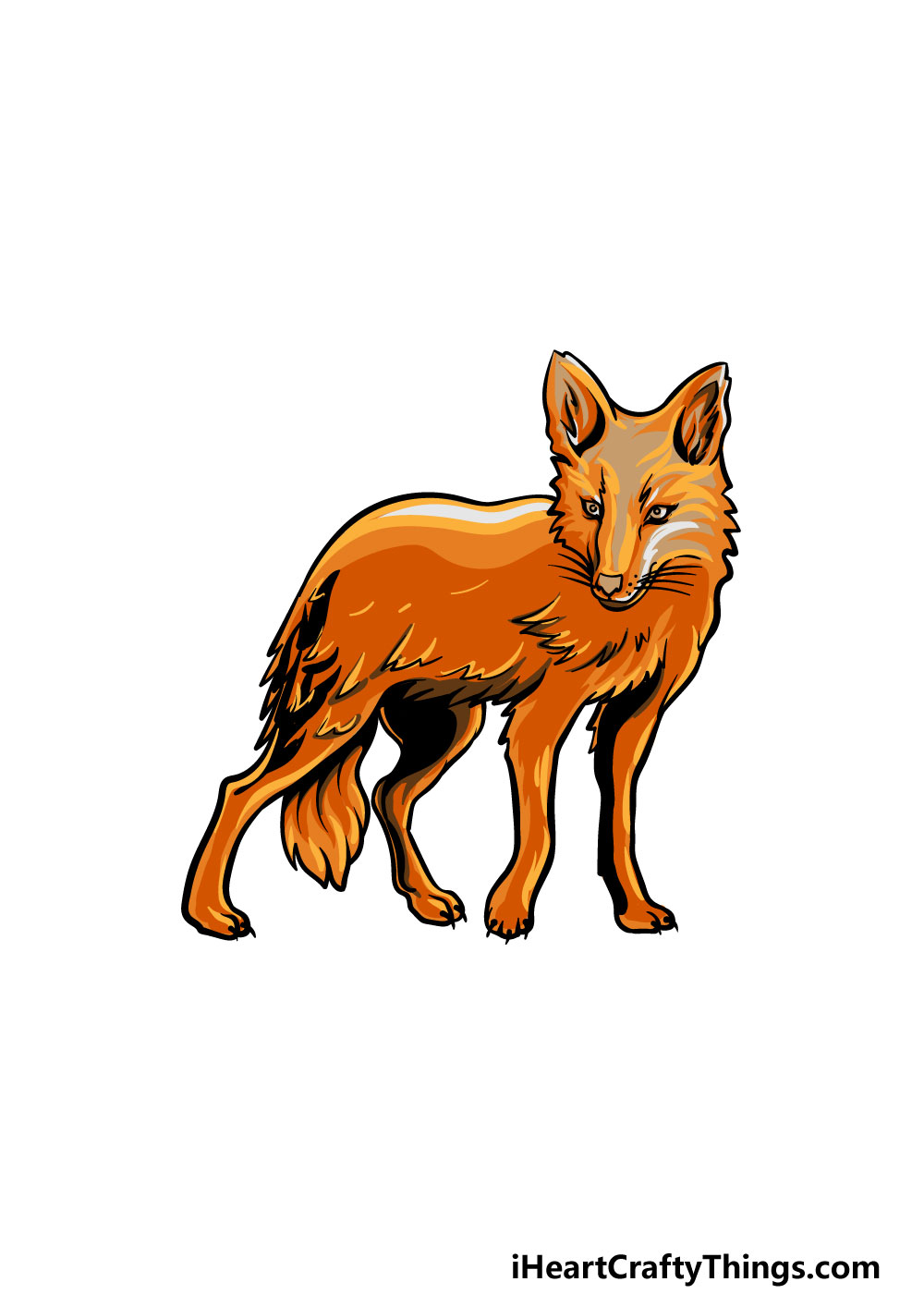 drawing a coyote step 6