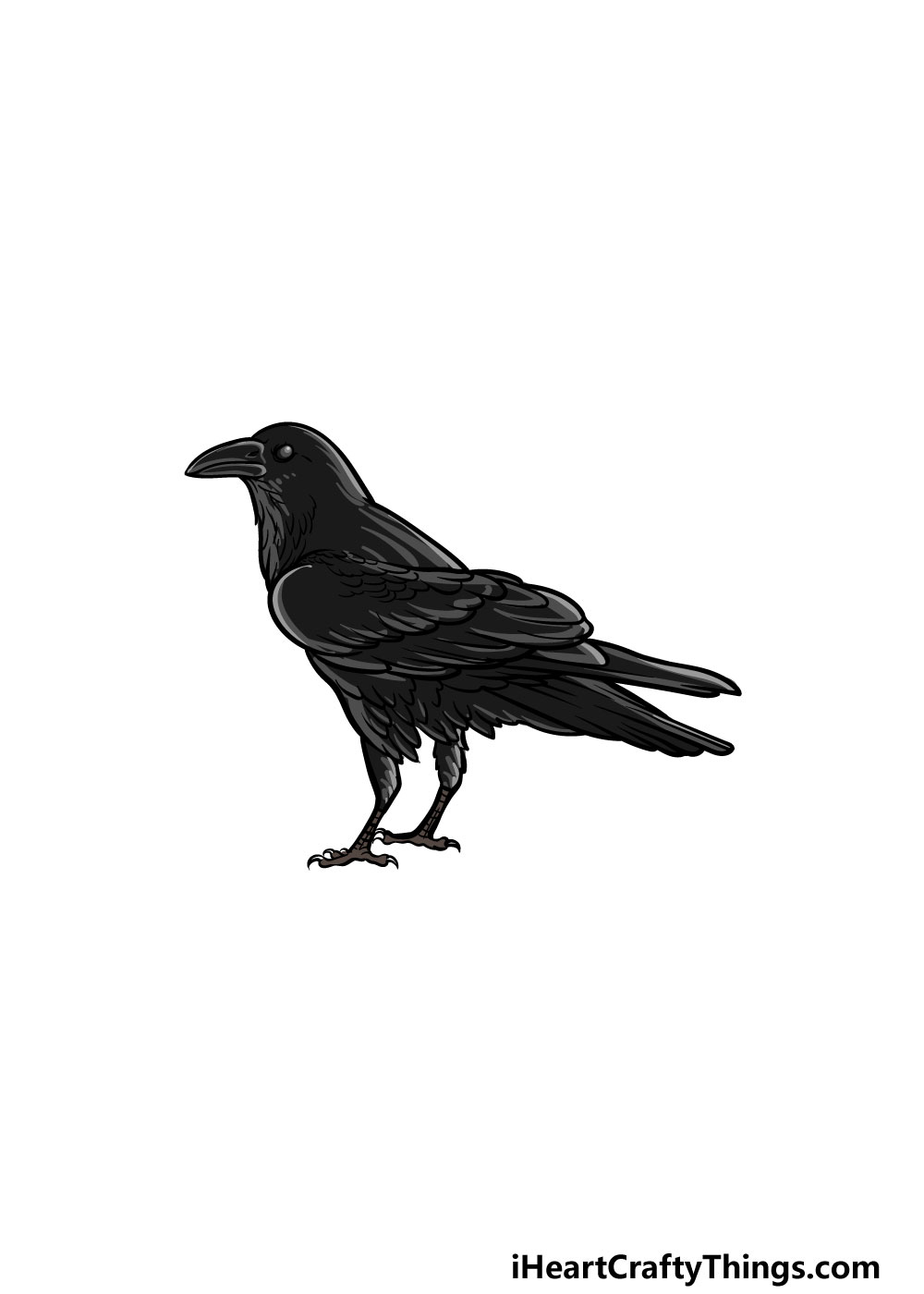drawing a crow step 6