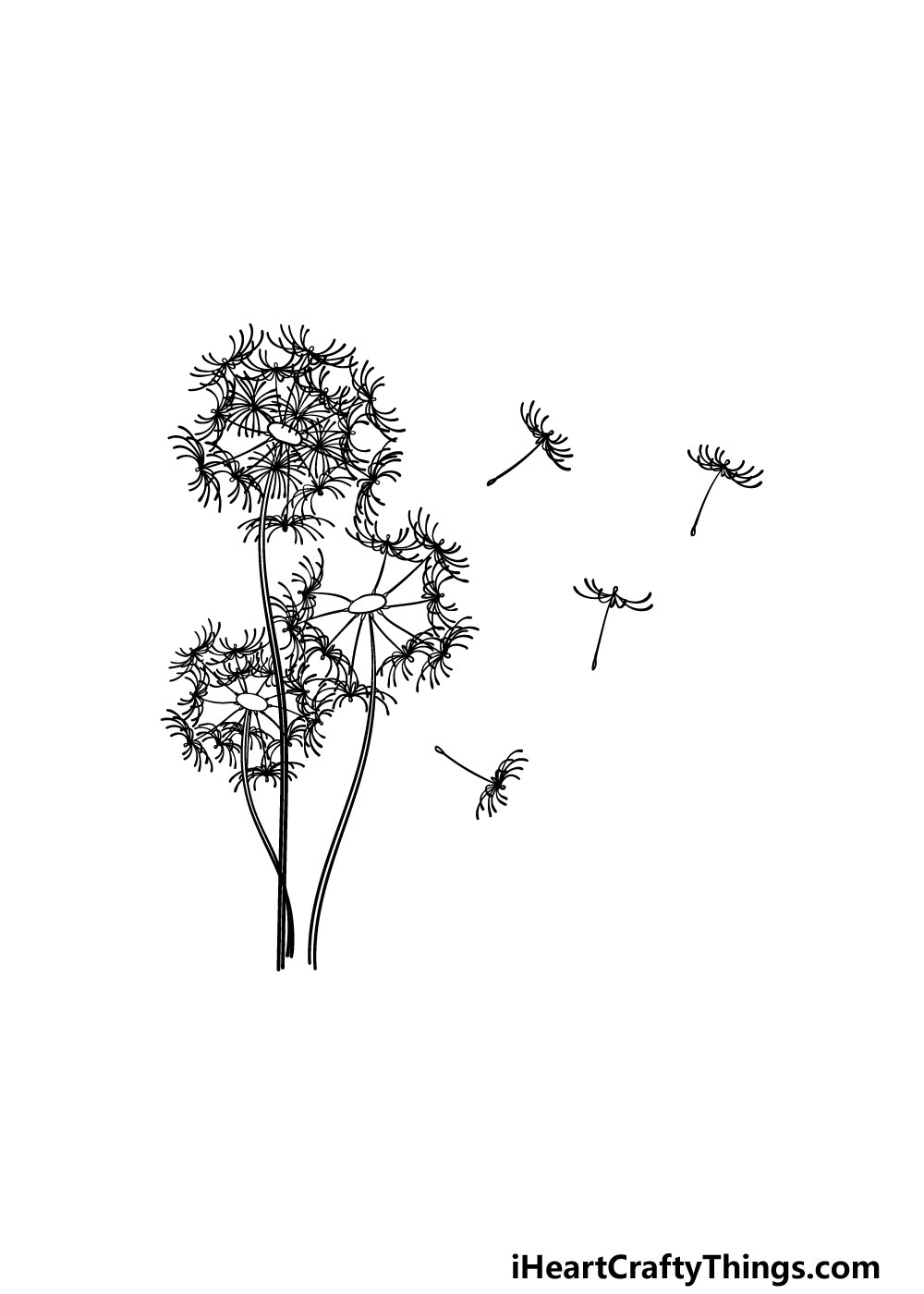 drawing a dandelion step 6