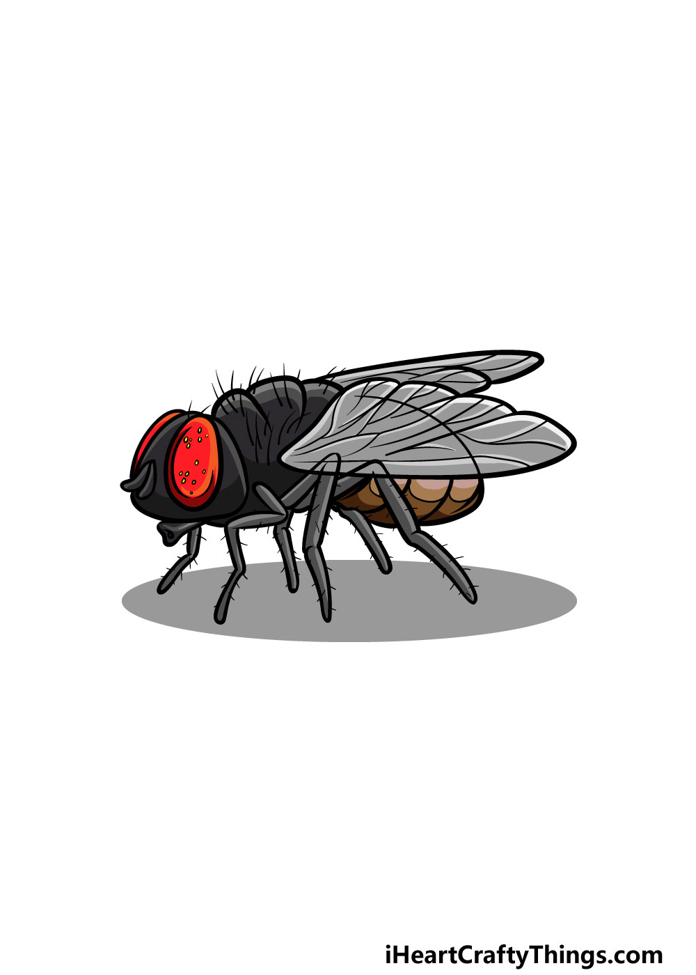 drawing a fly step 6