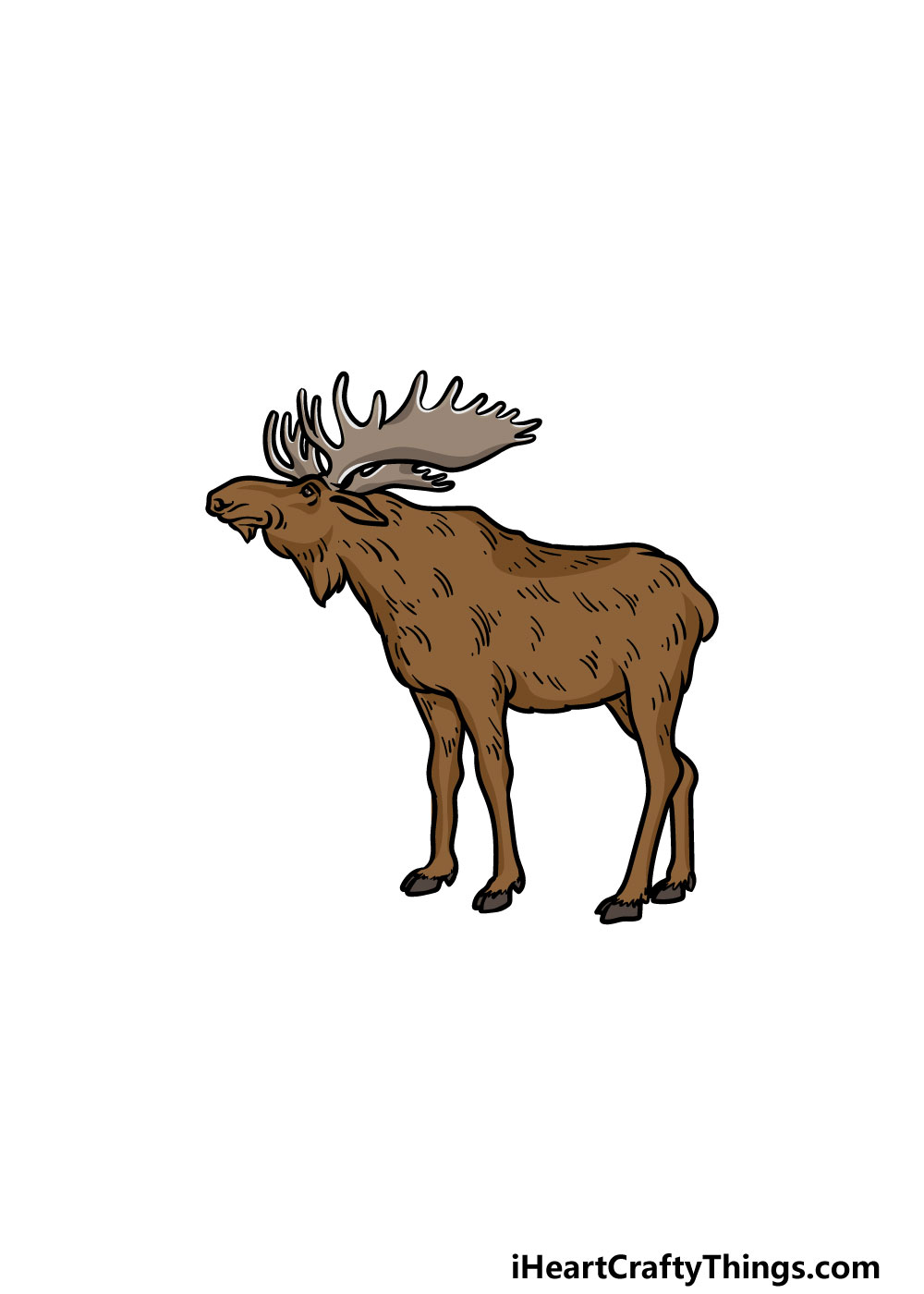 drawing a moose step 6