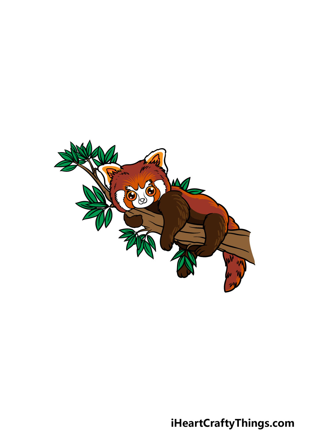 drawing a Red Panda step 6