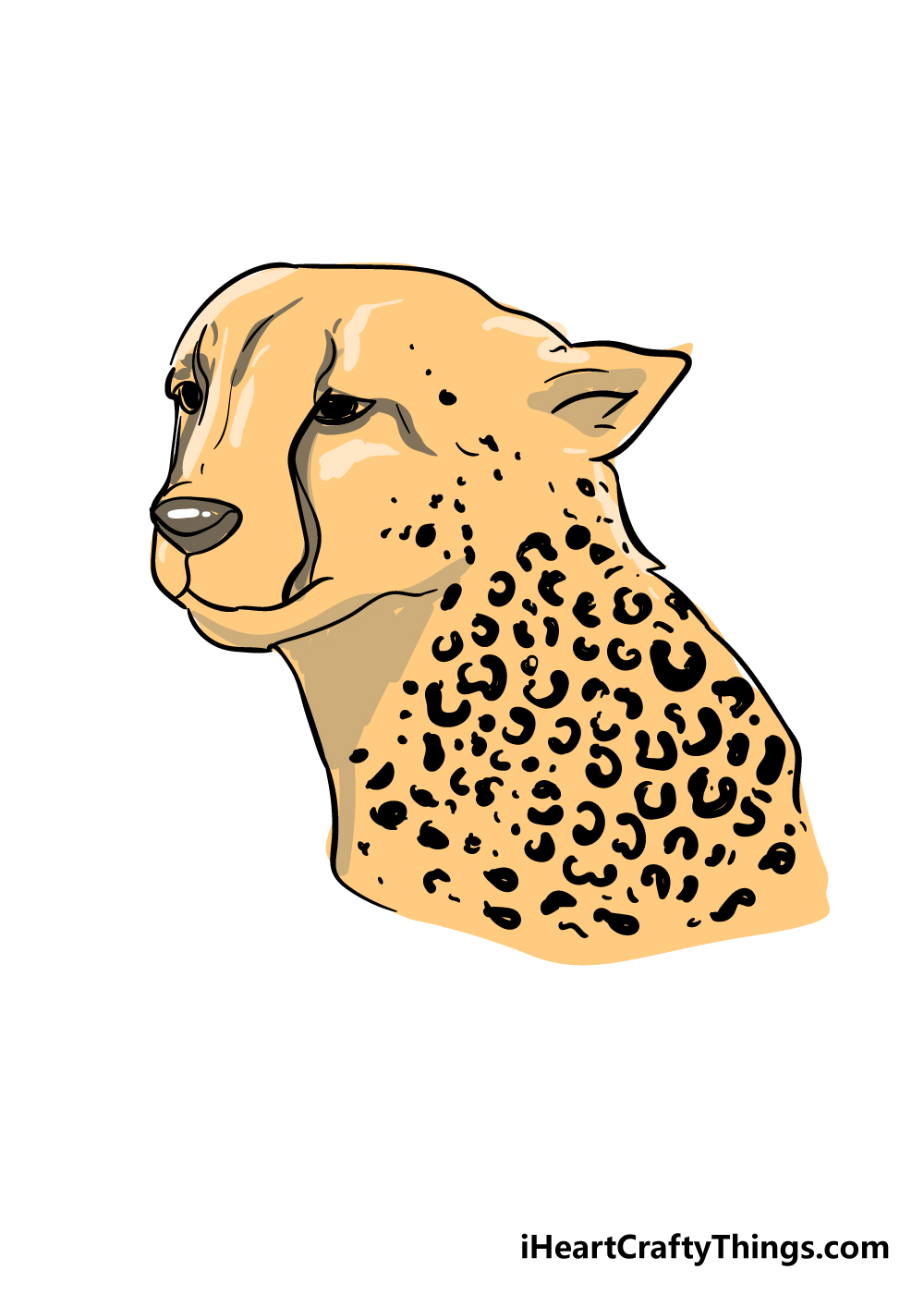 cheetah print drawing step 7