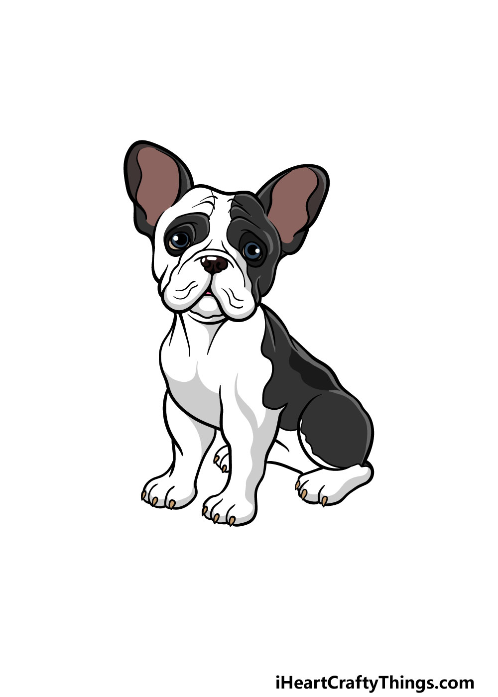 drawing a french bulldog step 8