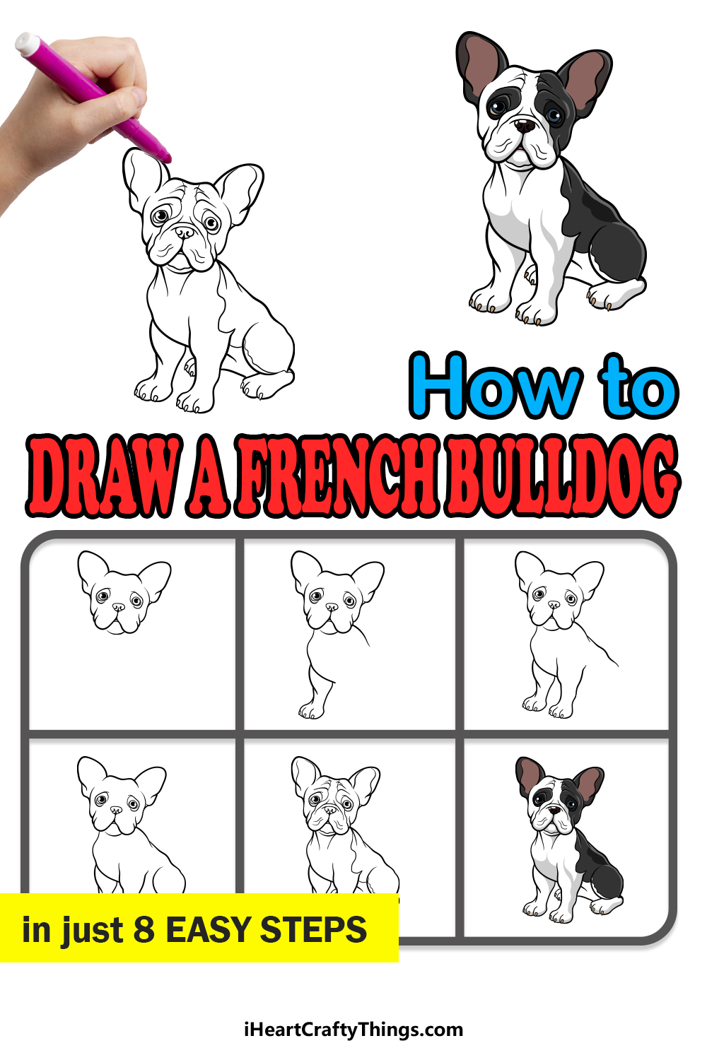 how to draw a french bulldog in 8 easy steps
