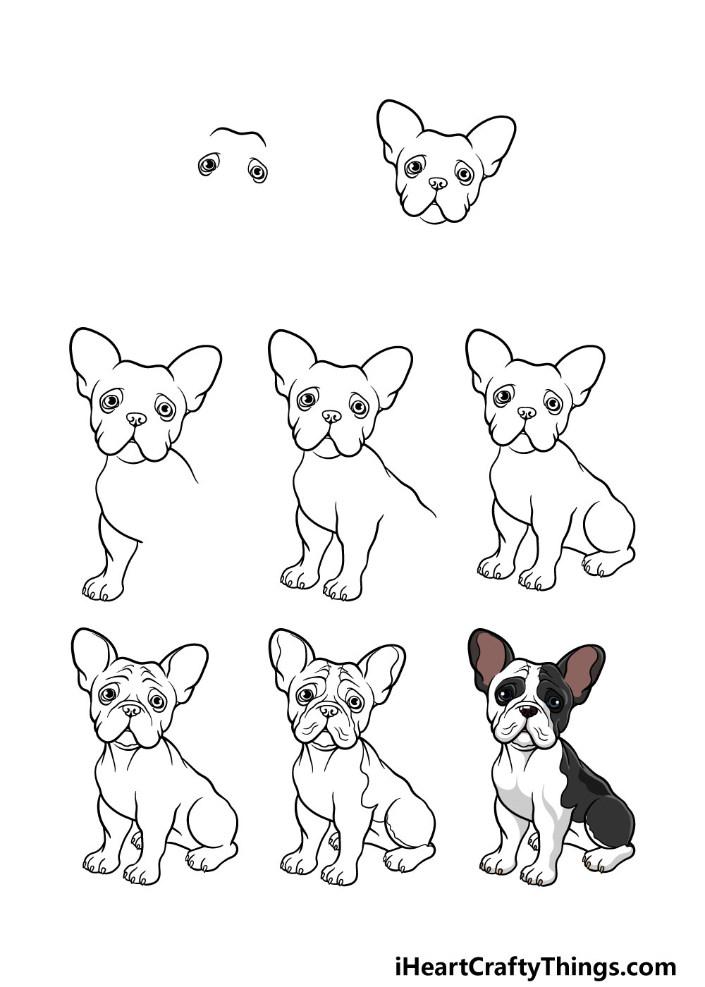 how to draw a french bulldog in 8 steps