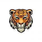 how to draw tiger face image