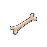how to draw a bone image