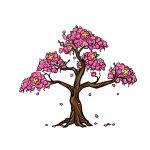 how to draw a cherry blossom image