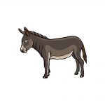 how to draw a donkey image