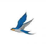 how to draw a flying bird image