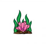 how to draw a coral image