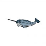 how to draw a narwhal image