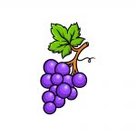 how to draw grapes image