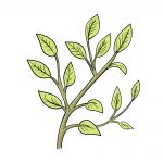 how to draw leaves on a tree image