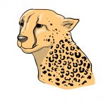 how to draw cheetah print image