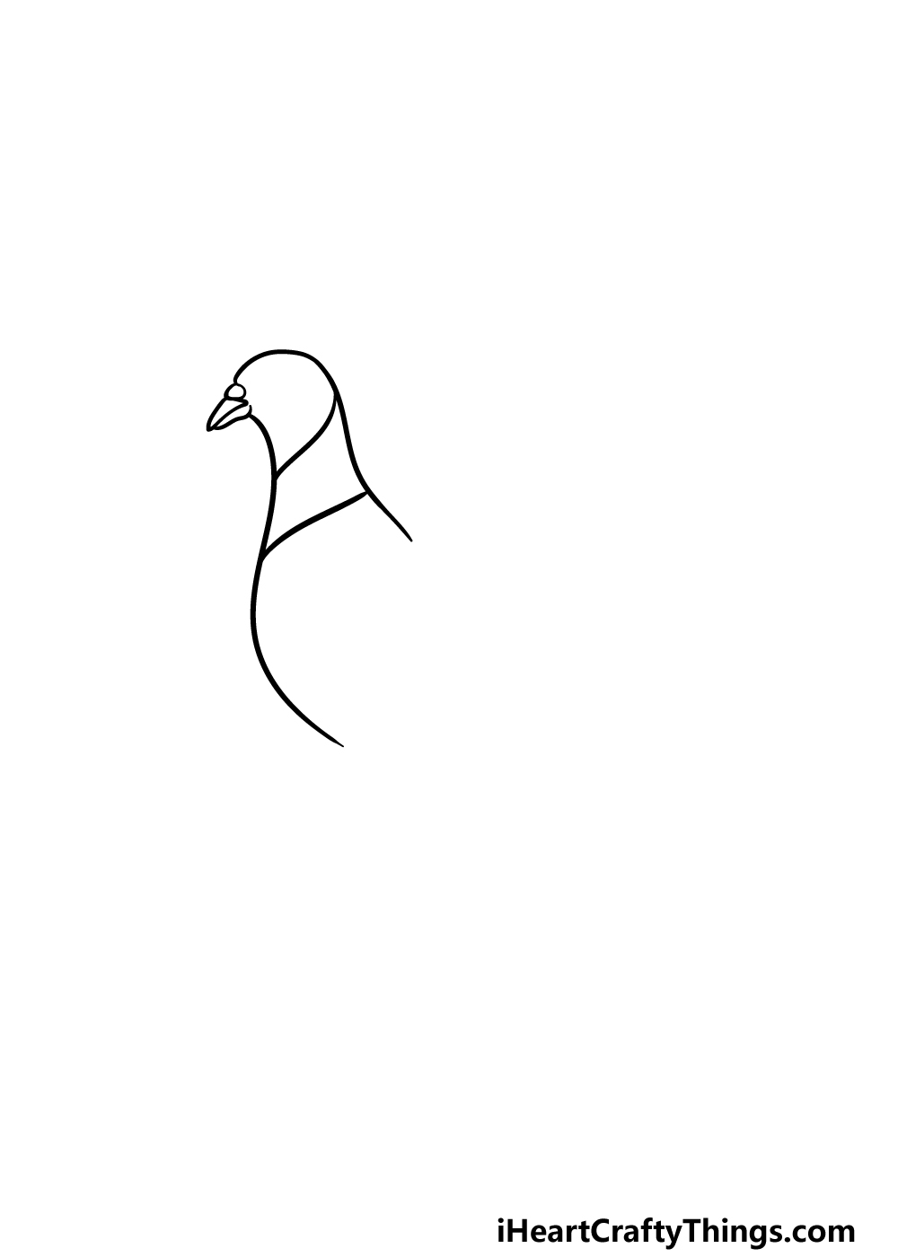 drawing a pigeon step 1