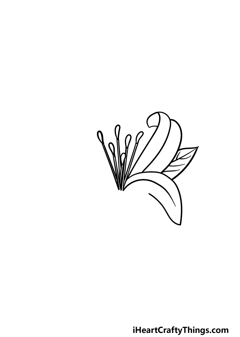 drawing Lily Flower step 2