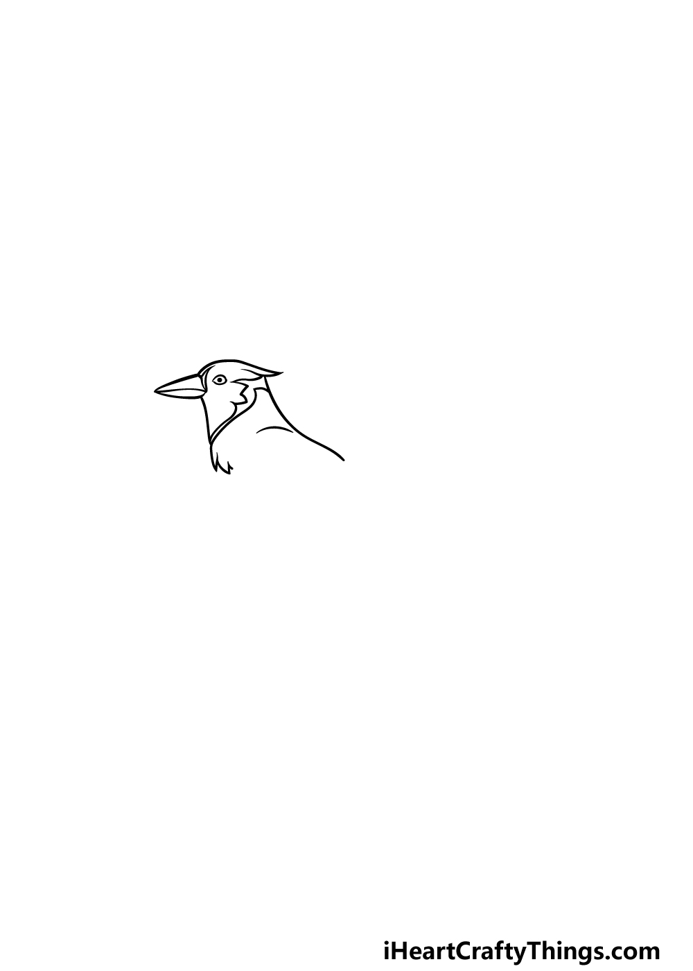 drawing a blue jay step 2