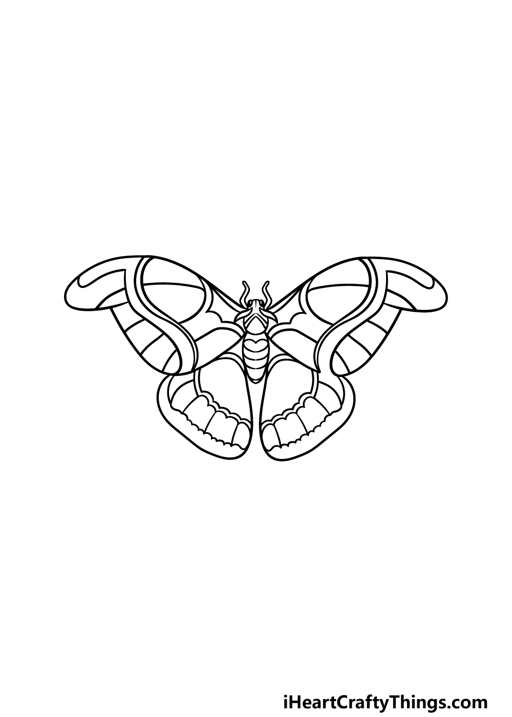 drawing a moth step 3