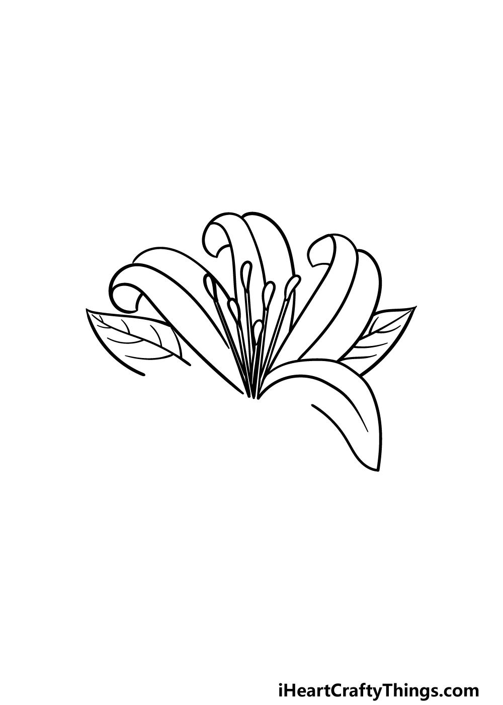 drawing Lily Flower step 3