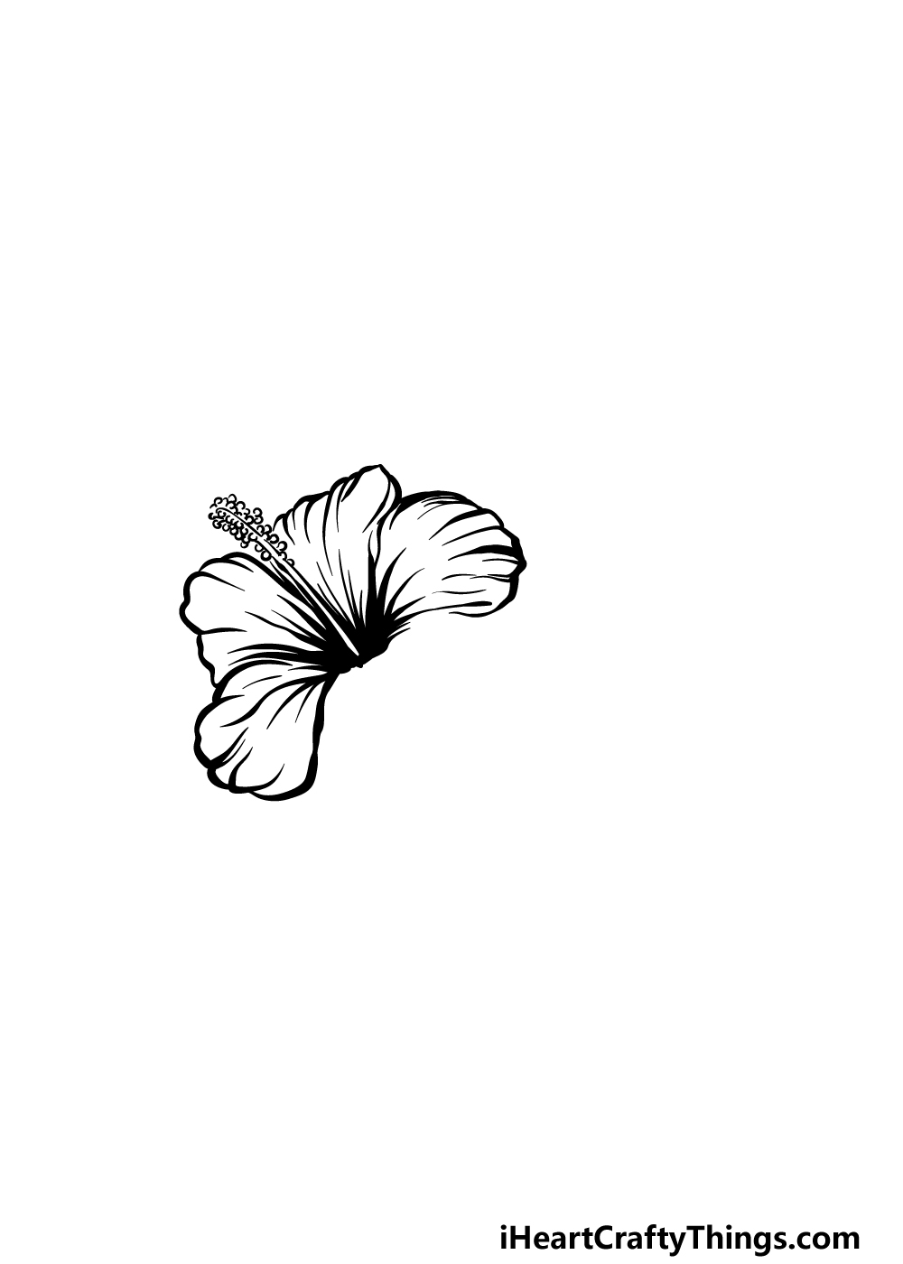 drawing hibiscus step 3