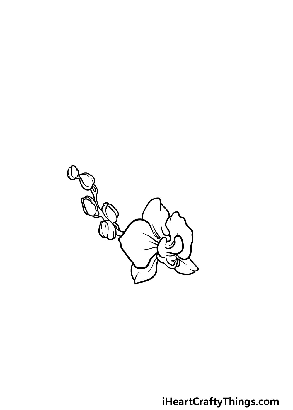 drawing an orchid step 3